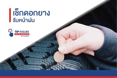 เช็คดอกยาง รับหน้าฝน