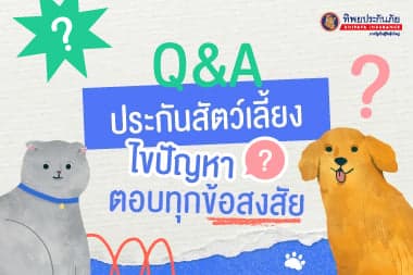Q&A ประกันสัตว์เลี้ยง ไขปัญหา ตอบทุกข้อสงสัย