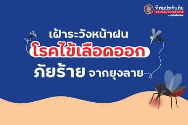 เฝ้าระวังหน้าฝน! โรคไข้เลือดออก ภัยร้ายจากยุงลาย