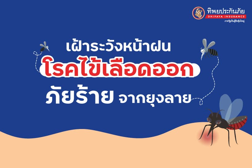 เฝ้าระวังหน้าฝน! โรคไข้เลือดออก ภัยร้ายจากยุงลาย